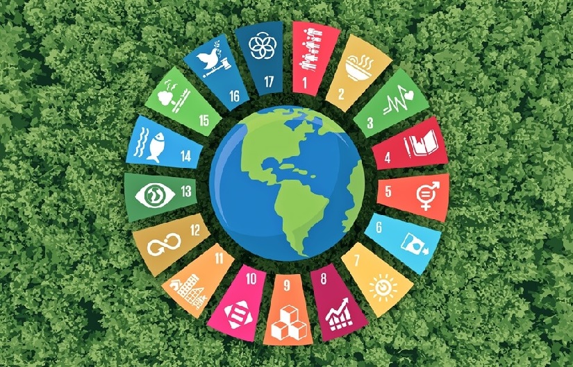 Agenda 2030 da ONU: Rumo a um Futuro Sustentável - Aparas Liberdade